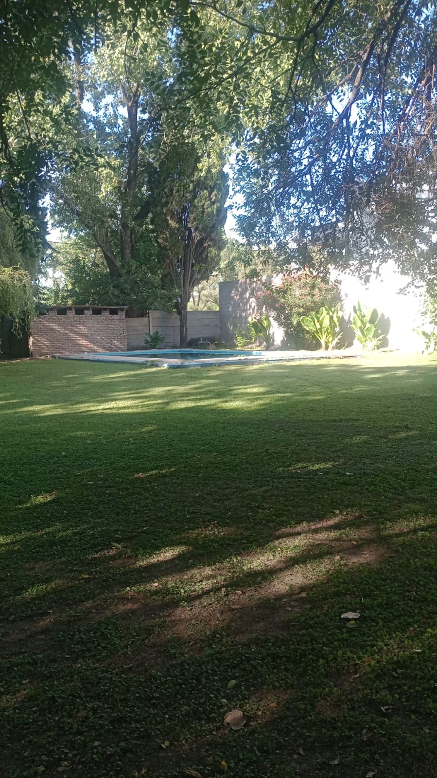 WhatsApp Image 2025-02-01 at 08.36.531.jpeg